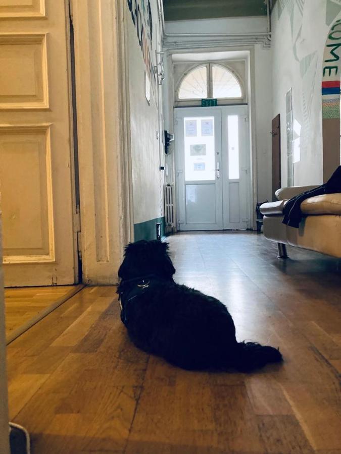 Black Dog Hostel بودابست المظهر الخارجي الصورة